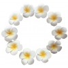 011 0770 Floating Flowers B Set 10
